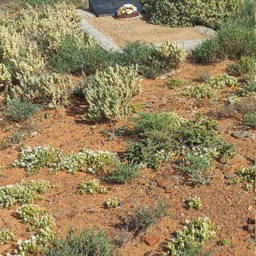 Northern Cape, CALVINIA district, Zitkop 1055, Swellendam, farm cemetery