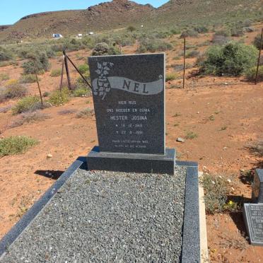 Northern Cape, CALVINIA district, Kareeboomsberg, Kareeboom 485, farm cemetery