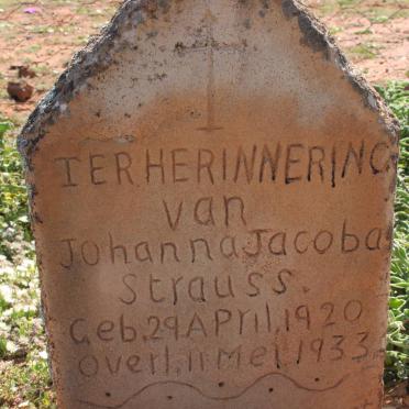 STRAUSS Johanna Jacoba 1920-1933