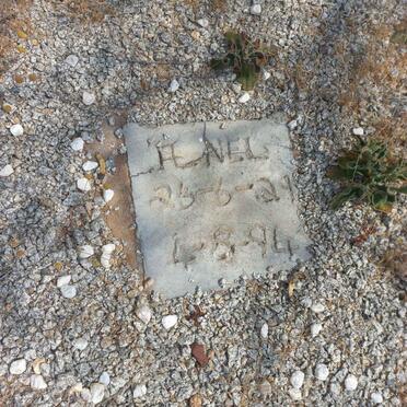 NEL H. (of A) ??21-??94