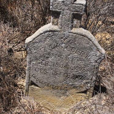 STEENKAMP Izak Aldert 1902-1902