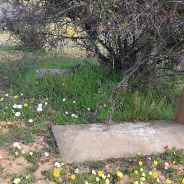 Northern Cape, CALVINIA district, Papkuilsfontein 788, farm cemetery