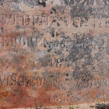 NEL Jacob Willem Stephanus 1877-1877