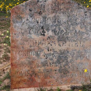 NEL Jacob Willem Stephanus 1877-1877