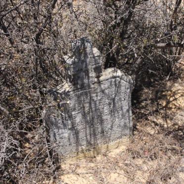 STEENKAMP 1903-1903