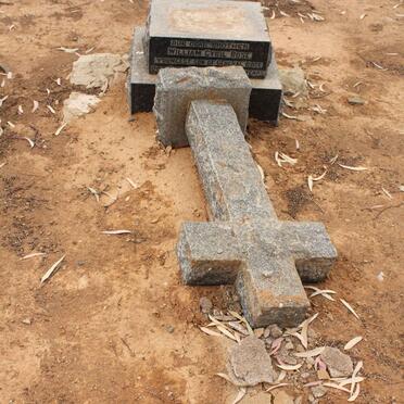 ROSE William Cyril -1918