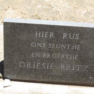 BRITZ Driesie