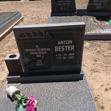 BESTER Anton 1984-2001