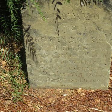 PHELAN Hellen -1855