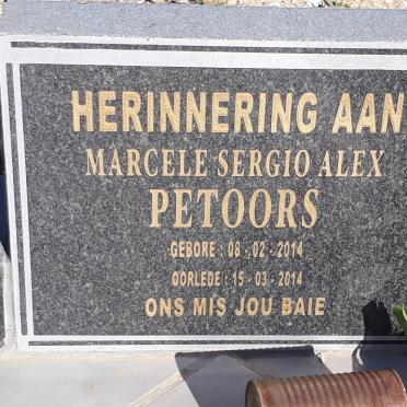 PETOORS Marcele Sergio Alex 2014-2014