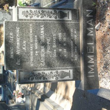 I - Surnames :: Vanne - I