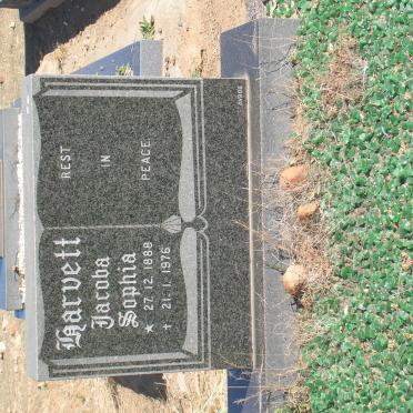 HARVETT Jacoba Sophia 1888-1976