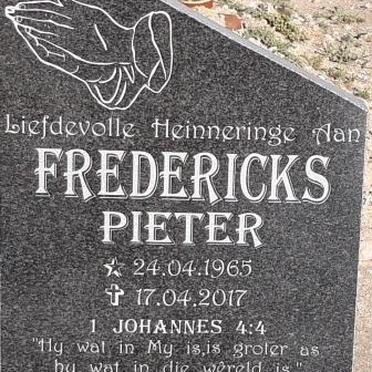 FREDERICKS Pieter 1965-2017