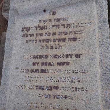 2. Unknown :: Illegible graves