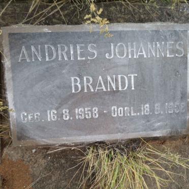 BRANDT Andries Johannes 1958-1958