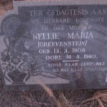LUYT Jacobus Rudolff 1901-1976 & Nellie Maria GREYVENSTEIN 1906-1960 _3