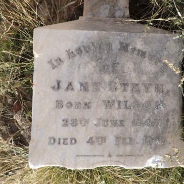 STEYN Jane nee WILSON 1861-1915