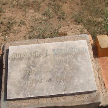 WEIDEMAN Johannes L. 1869-1952
