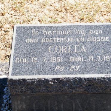 GROVE Corlea 1951-1956