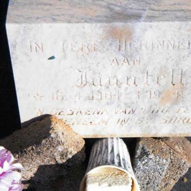 VILJOEN Jauntell 1934-1984