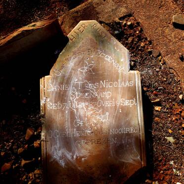 STEENKAMP Daniel Tobias Nicolaas 1867-1934