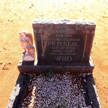 WIID Pietertjie 1956-1957