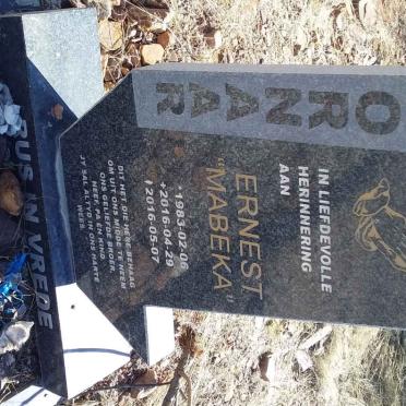KOORNAAR Ernest 1983-2016