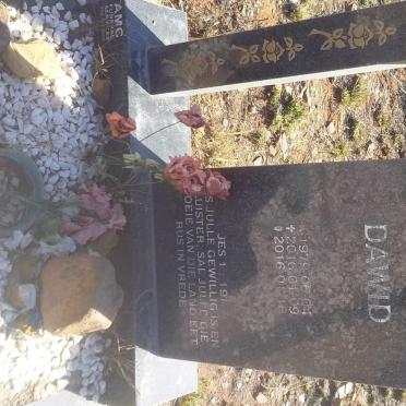 PIETERSE Dawid 1979-2016