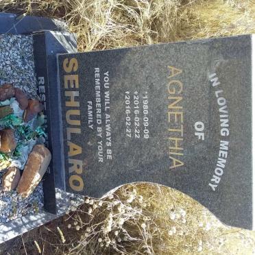 SEHULARO Agnethia 1980-2016