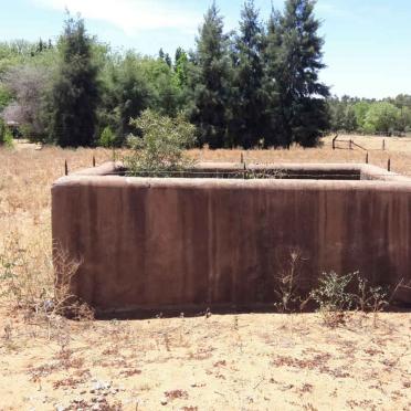 Northern Cape, DOUGLAS, Backhouse 149, single grave on farm behind Anglican cemetery