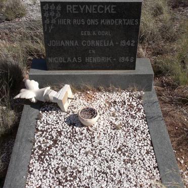REYNECKE Johanna Cornelia 1942-1942 :: REYNECKE Nicolaas Hendrik 1946-1946