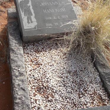 HANEKOM Willem Johannes 1909-1925
