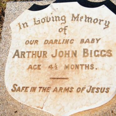 BIGGS Arthur John