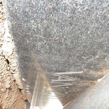 ZYL Willem A.F., van 1906-1975