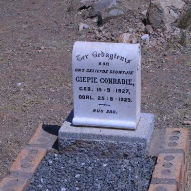CONRADIE Giepie 1927-1929