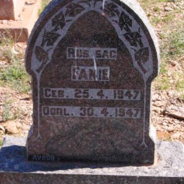 LIEBENBERG Fanie 1947-1947