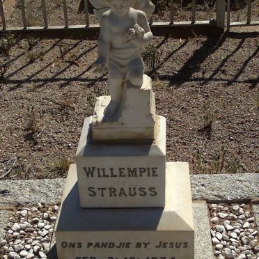 STRAUSS Willempie 1934-1935