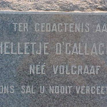 O'CALLAGHAN Helletje nee VOLGRAAF
