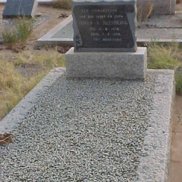 NEETHLING Johan A. 1879-1968
