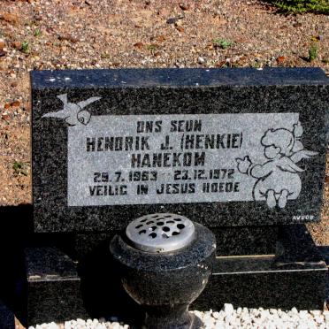 HANEKOM Hendrik J. 1963-1972