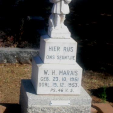 MARAIS W.H. 1951-1953