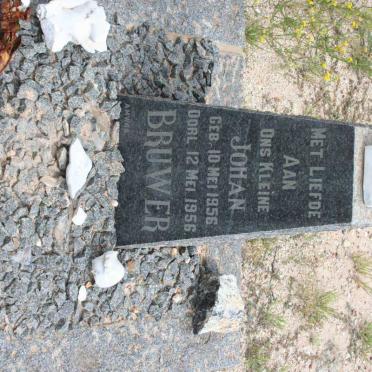 BRUWER Johan 1956-1956