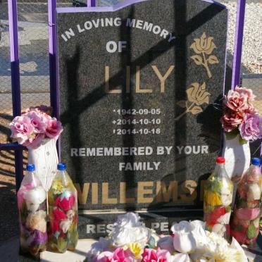 WILLEMSE Lily 1942-2014