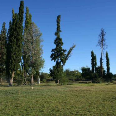 5. Overview