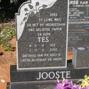 JOOSTE Tes 1915-2000