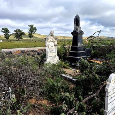 3. Overview / Oorsig