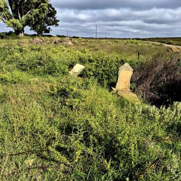 4. Overview / Oorsig