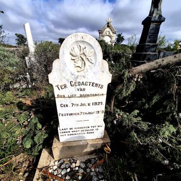 Northern Cape, HANOVER district, K_ferspoort 56, Erfenis, farm cemetery