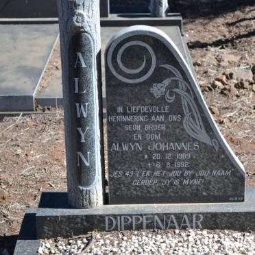 DIPPENAAR Alwyn Johannes 1969-1992