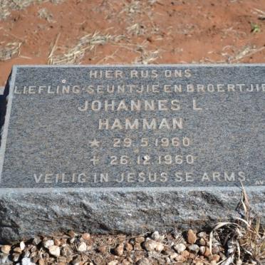 HAMMAN Johannes L. 1960-1960